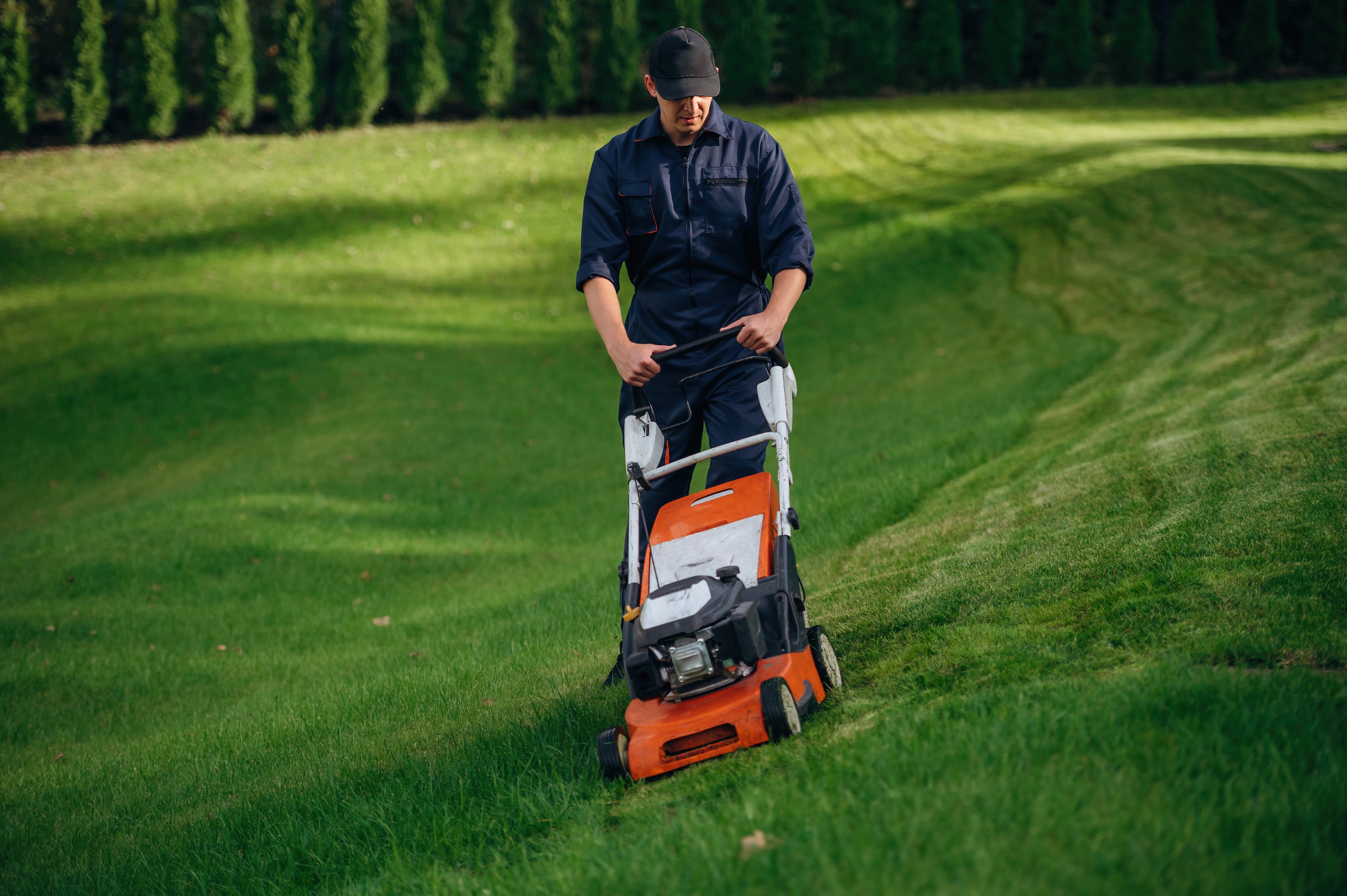 Professionelle Gartenpflege