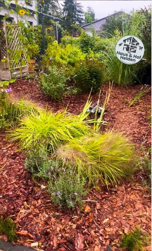 Gartenpflege mit Teich — Instagram Reel