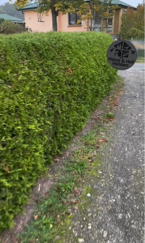 Heckenschnitt — Instagram Reel